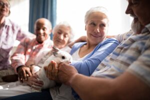 Benefits of pets for elderly